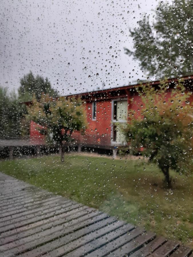 Vagones De La Patagonia Lejlighed El Calafate Eksteriør billede
